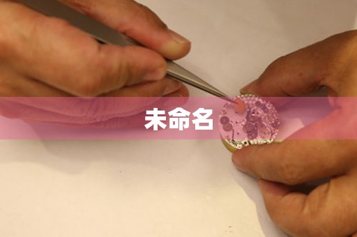 天津杜格納維修中心在哪？