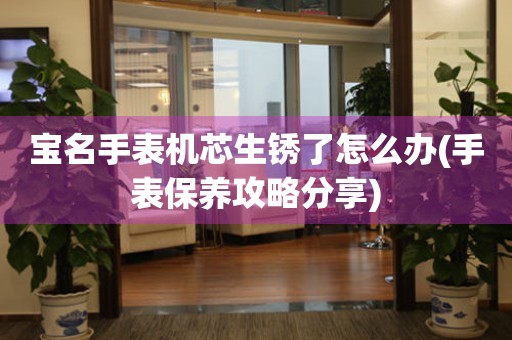 寶名手表機芯生銹了怎么辦(手表保養攻略分享)
