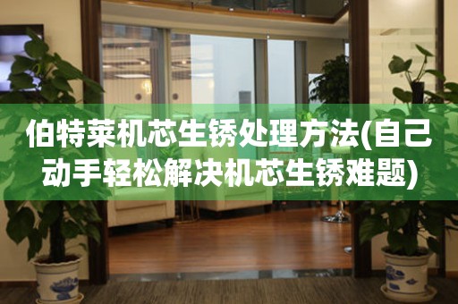 伯特萊機芯生銹處理方法(自己動手輕松解決機芯生銹難題)
