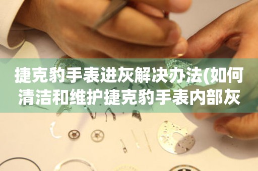 捷克豹手表進灰解決辦法(如何清潔和維護捷克豹手表內部灰塵)