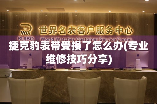 捷克豹表帶受損了怎么辦(專業維修技巧分享)