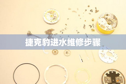 捷克豹進水維修步驟