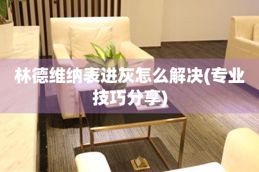 林德維納表進灰怎么解決(專業技巧分享)