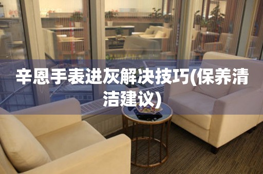 辛恩手表進灰解決技巧(保養清潔建議)