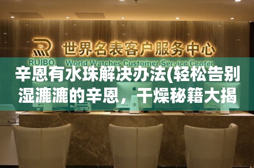 辛恩有水珠解決辦法(輕松告別濕漉漉的辛恩，干燥秘籍大揭秘)