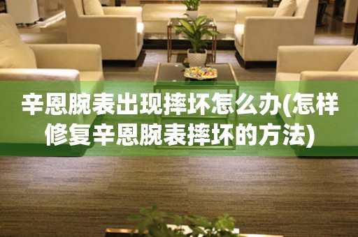 辛恩腕表出現摔壞怎么辦(怎樣修復辛恩腕表摔壞的方法)