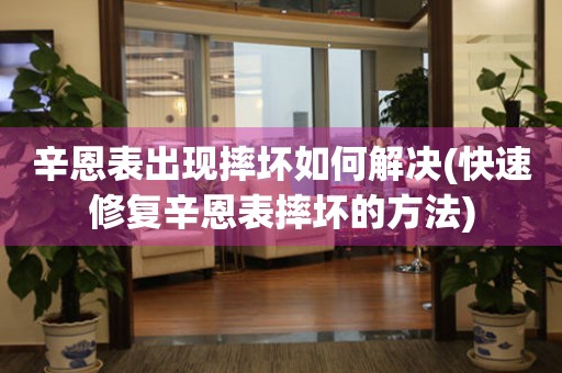辛恩表出現摔壞如何解決(快速修復辛恩表摔壞的方法)