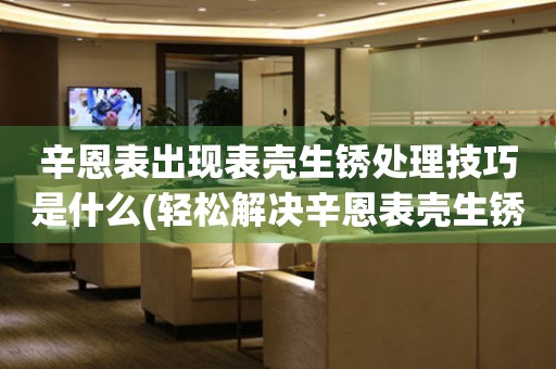 辛恩表出現表殼生銹處理技巧是什么(輕松解決辛恩表殼生銹的小竅門)