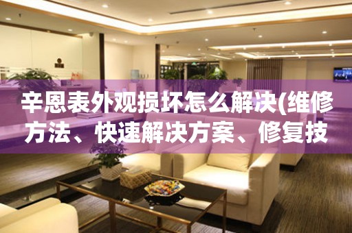 辛恩表外觀損壞怎么解決(維修方法、快速解決方案、修復技巧)