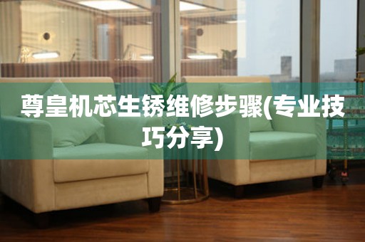 尊皇機芯生銹維修步驟(專業技巧分享)
