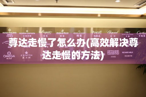 尊達走慢了怎么辦(高效解決尊達走慢的方法)