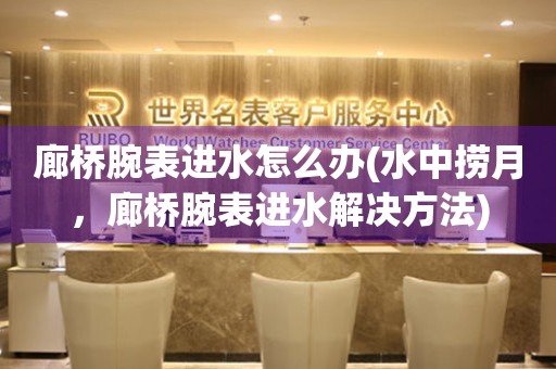 廊橋腕表進(jìn)水怎么辦(水中撈月，廊橋腕表進(jìn)水解決方法)