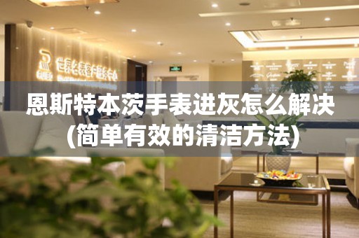 恩斯特本茨手表進(jìn)灰怎么解決 (簡(jiǎn)單有效的清潔方法)