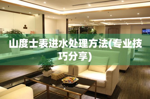 山度士表進水處理方法(專業技巧分享)