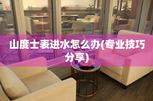 山度士表進水怎么辦(專業技巧分享)