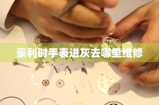 豪利時手表進灰去哪里維修
