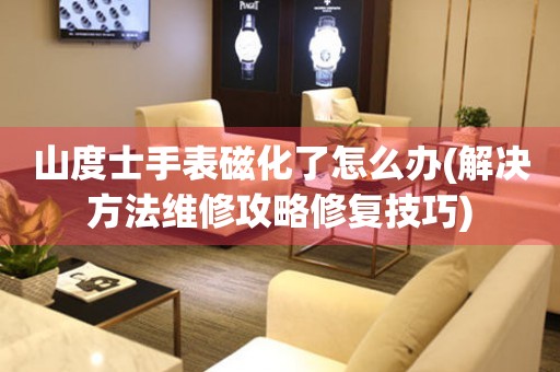 山度士手表磁化了怎么辦(解決方法維修攻略修復技巧)