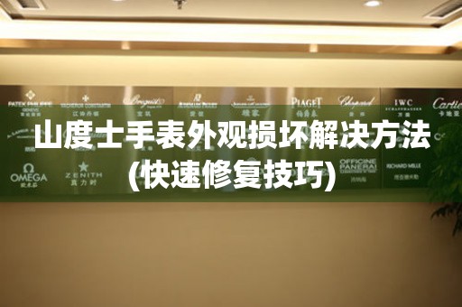 山度士手表外觀損壞解決方法(快速修復技巧)
