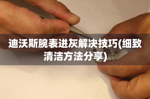 迪沃斯腕表進灰解決技巧(細致清潔方法分享)