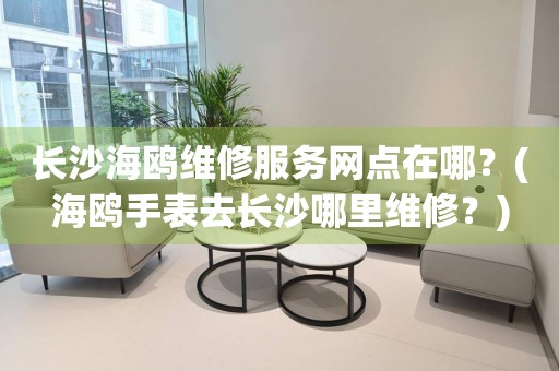 長沙海鷗維修中心地址在哪里？