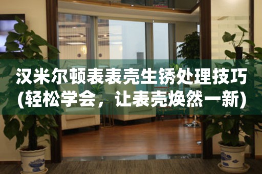 漢米爾頓表表殼生銹處理技巧(輕松學(xué)會(huì)，讓表殼煥然一新)