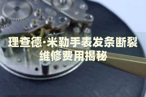 理查德·米勒手表發(fā)條斷裂維修費用揭秘