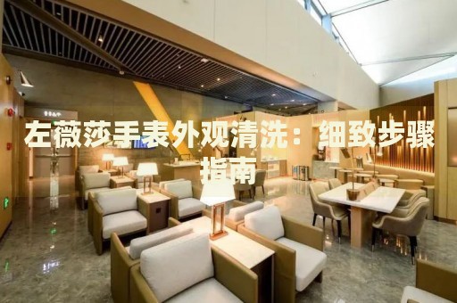 左薇莎手表外觀清洗：細致步驟指南