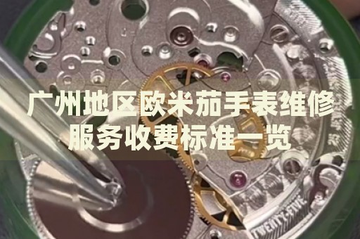 廣州地區歐米茄手表維修服務收費標準一覽