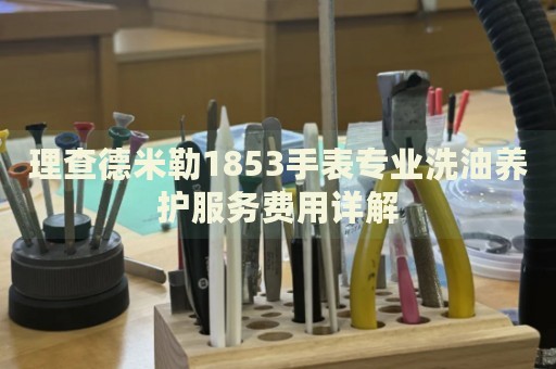 理查德米勒1853手表專業洗油養護服務費用詳解