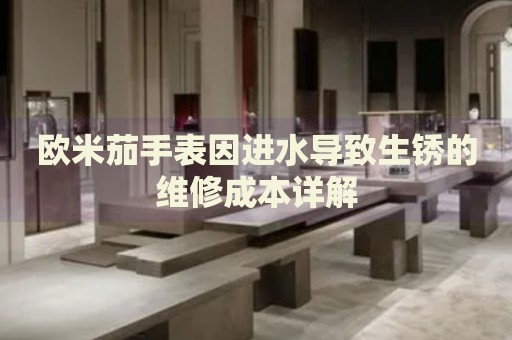 歐米茄手表因進水導致生銹的維修成本詳解