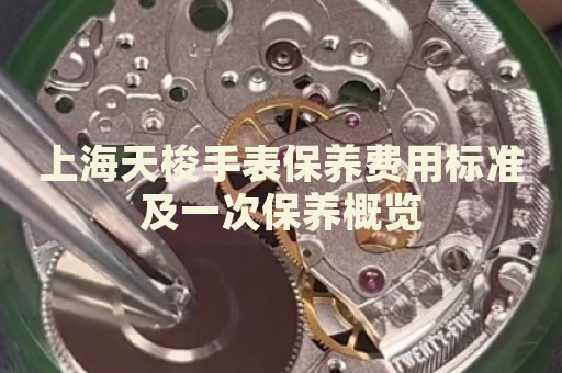 上海天梭手表保養費用標準及一次保養概覽