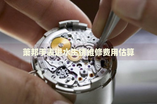 蕭邦手表進水生銹維修費用估算