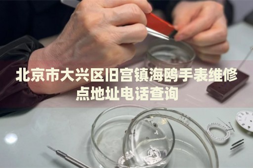 北京市大興區(qū)舊宮鎮(zhèn)海鷗手表維修點(diǎn)地址電話查詢