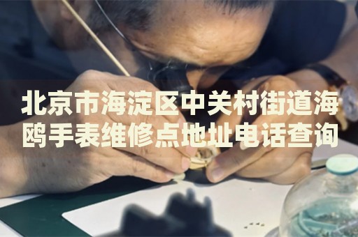 北京市海淀區(qū)中關(guān)村街道海鷗手表維修點(diǎn)地址電話查詢