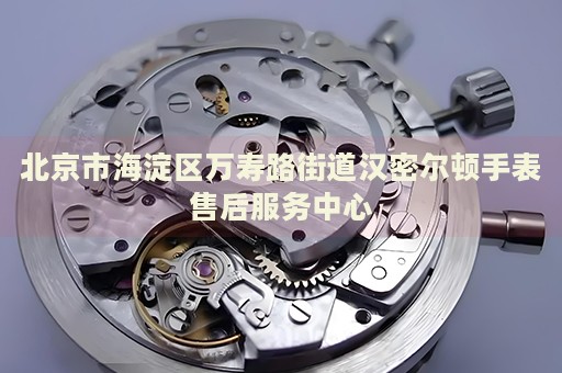 北京市海淀區萬壽路街道漢密爾頓手表售后服務中心