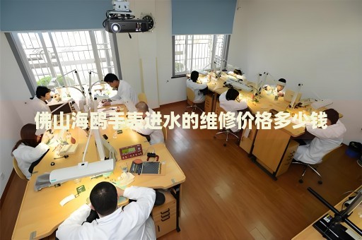 佛山海鷗手表進水的維修價格多少錢