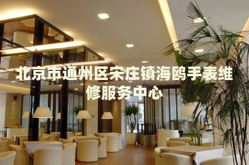 北京市通州區宋莊鎮海鷗手表維修服務中心