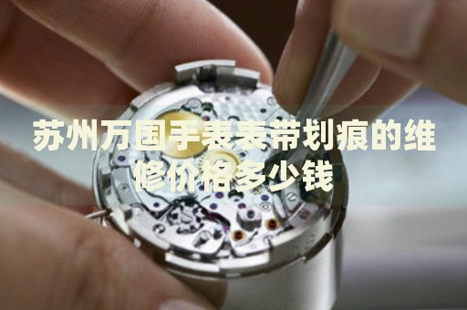 蘇州萬國手表表帶劃痕的維修價格多少錢
